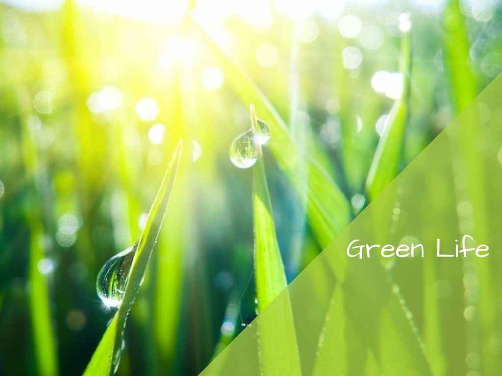 retour-vert