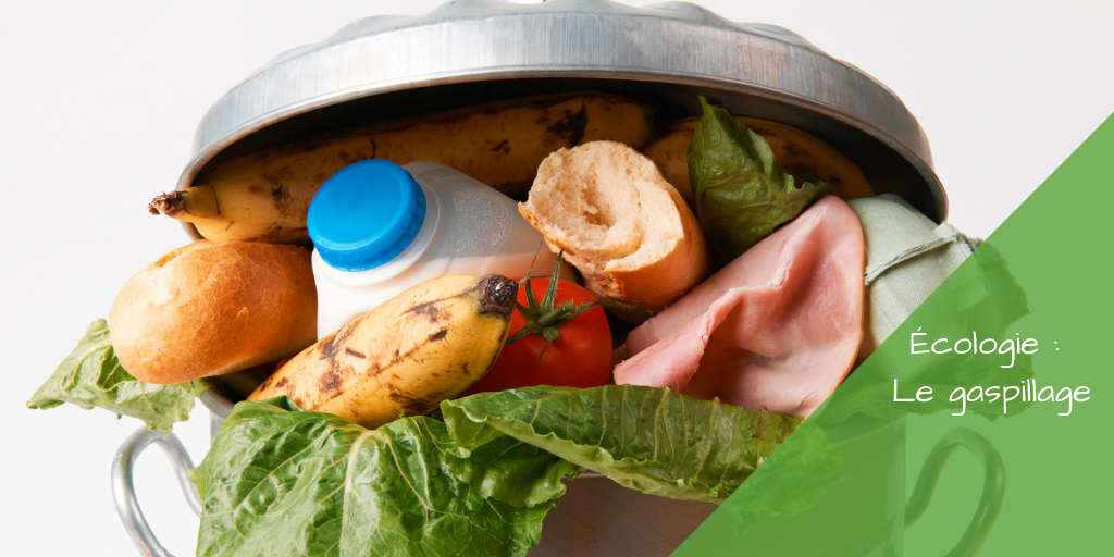 ecologie-lutte-gaspillage