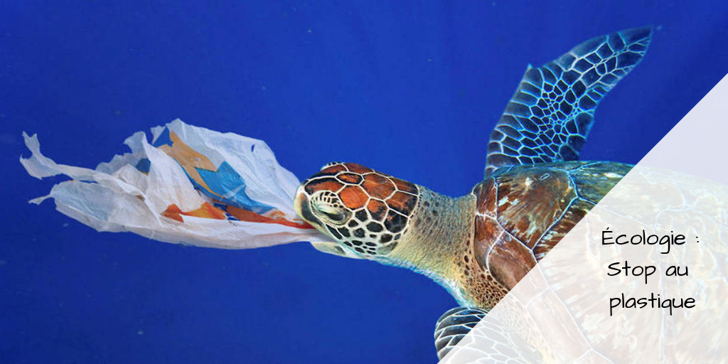 Écologie _ Stop au plastique