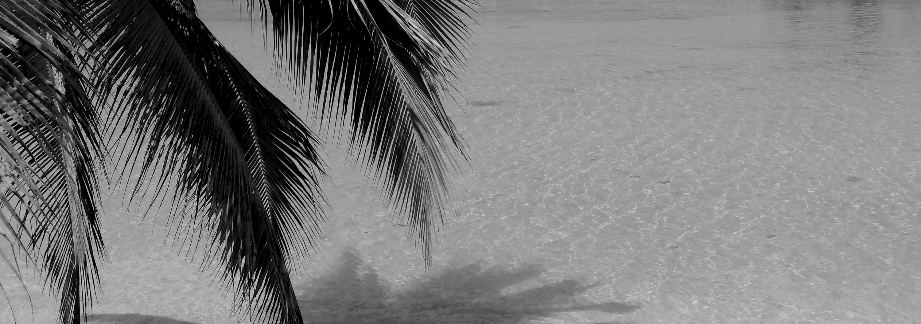 welcome-jamaica